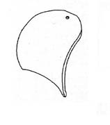 BALFOUR MERKEZ BİLEYT 7X7.5CM